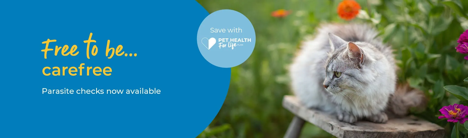 Flea and Worm Treatment | Spinney Vets Northampton