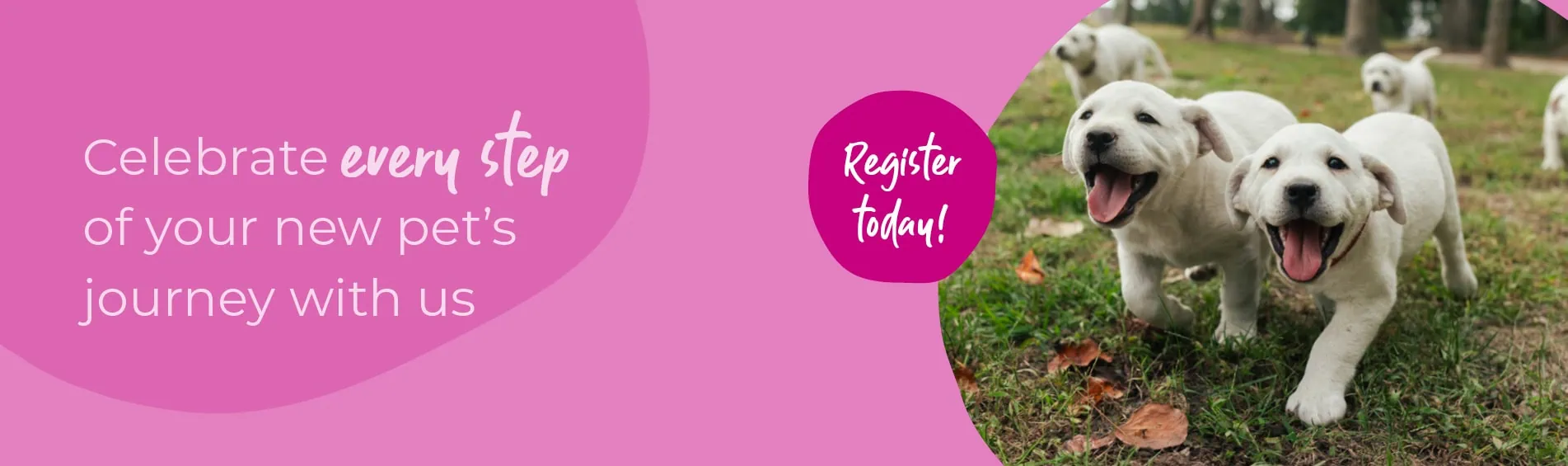 Start of Life for Your Puppy or Kitten | Spinney Vets