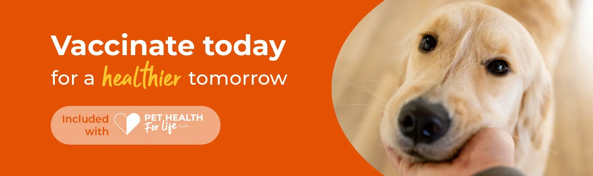 Pet Vaccinations | Spinney Vets Northampton